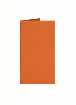 Папка-счет 220х120 мм Soft-touch, цвет: оранжевый пмпи210